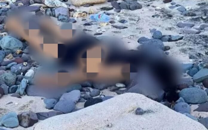 Diduga Jadi Korban Begal, Mahasiswi Universitas Mataram Ditemukan Meninggal di Pantai Nipah