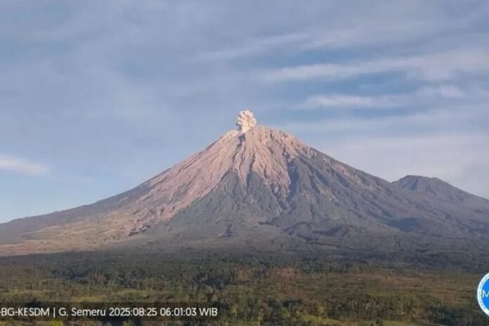 Gunung Semeru Kembali Erupsi, Letusan Menjulang Tinggi