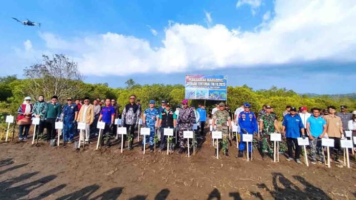 Tanam Mangrove Digelar Lanal Mataram bersama dengan Ketum PB NW, TGKH Lalu Gede Muhammad Zainuddin Atsani di Pantai Cemara Lombok Barat.