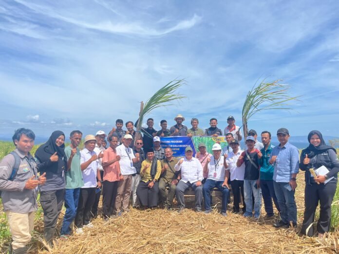 Simanis dari Ujung Timur Nusa Tenggara Barat Mengejar Swasembada Gula Nasional