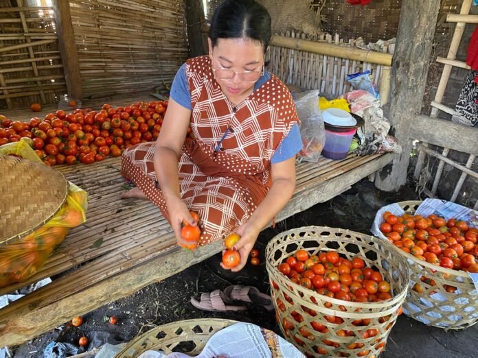 Program MBG Belum Berdampak Signifikan pada Nilai Jual Petani