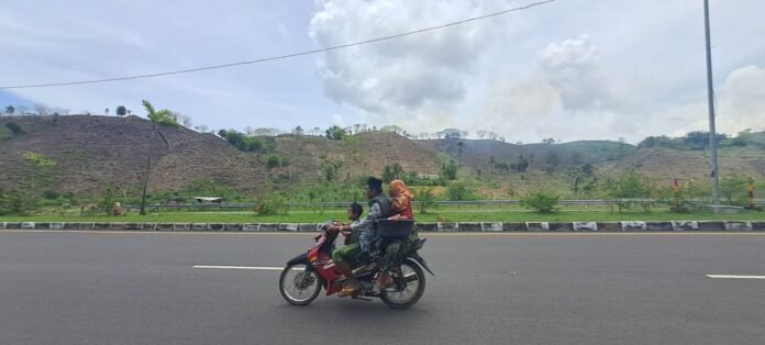 Hutan dan Bukit di Sekitar Kawasan The Mandalika Semakin Gundul