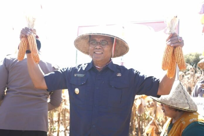 Selain Komoditi Padi dan Jagung, Desa Empang Atas Andalkan Perikanan dan Peternakan