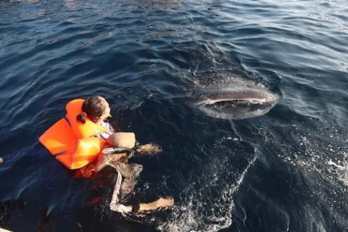 Tiga Sektor Sekaligus Jadi Penopang Ekonomi Desa Labuhan Sangoro Sumbawa