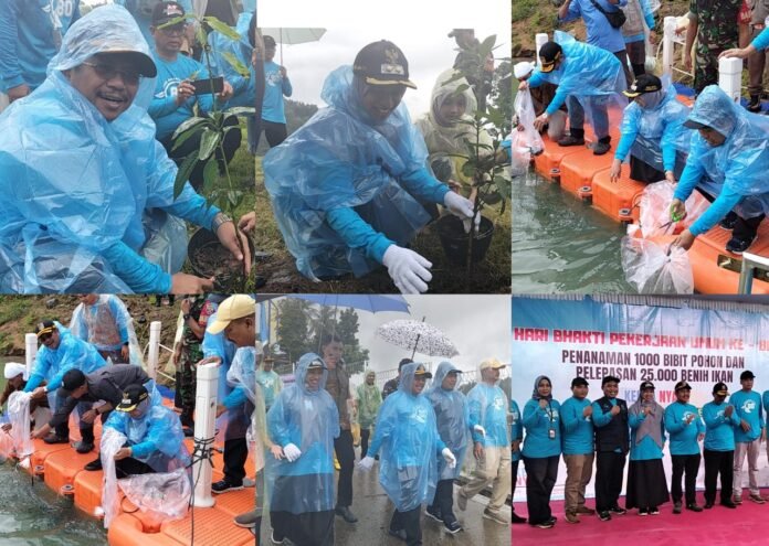 Bupati dan Wabup Lobar Hujan-hujanan Tanam 1.000 Pohon