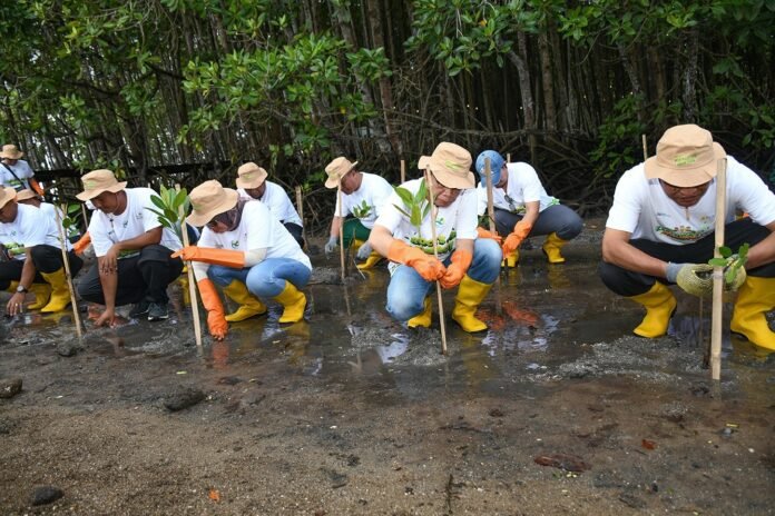 Penanaman 5.000 Mangrove, Contoh Nyata Pembangunan Berkelanjutan