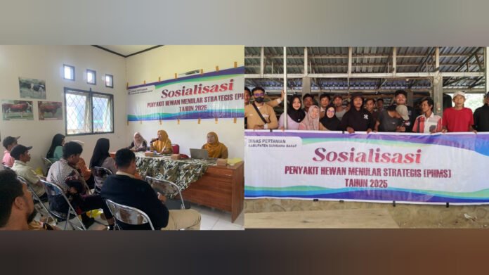 Distan KSB Gelar Sosialisasi PHMS di Dua Kecamatan