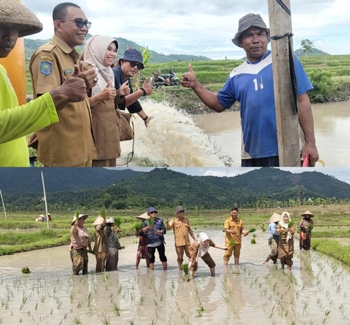 Intervensi 300 Hektare Lahan Kering, Program Oplah Selamatkan Petani di Lobar dari Gagal Panen