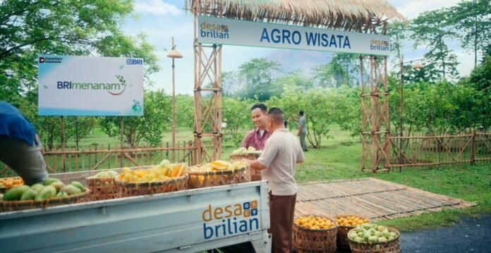 BRI Berdayakan 4.909 Desa BRILiaN, Wujudkan Semangat Asta Cita Untuk Pemerataan Ekonomi