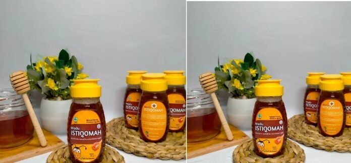 Melihat Pesatnya Budidaya Madu di Desa Pelat Sumbawa