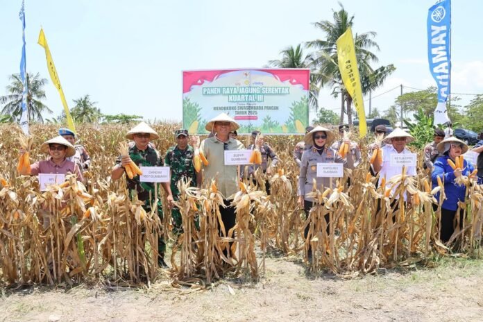 Manfaatkan ADD, Desa Tuananga Salurkan Bibit Jagung Gratis ke Warga