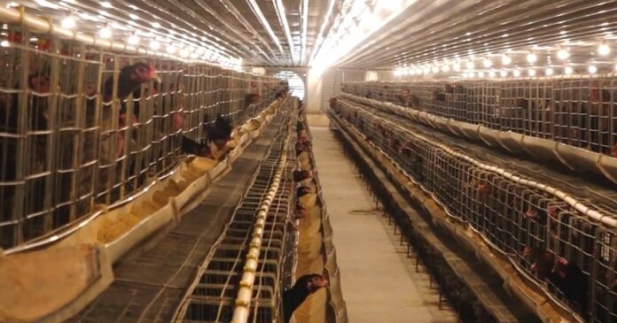 Desa Marga Karya Mulai Cicipi Manisnya Program Desa Berdaya