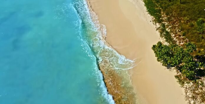 Jadi Bagian Destinasi Dunia, Daerah di NTB Ini Sokong Keseimbangan Ekologi Daerah