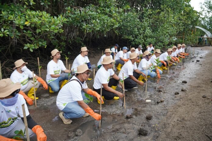 Hari Menanam Pohon Indonesia, PLN Grup NTB Tanam 5.000 Bibit Mangrove di Pesisir Lombok Timur