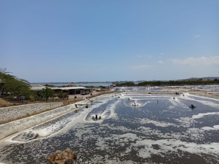 Wisata Bahari dan Kuliner jadi Primadona Warga Pulau Bungin