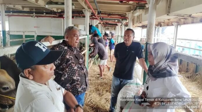 Tahun 2025, KSB Dapat Kuota Pengiriman 200 Ekor Sapi