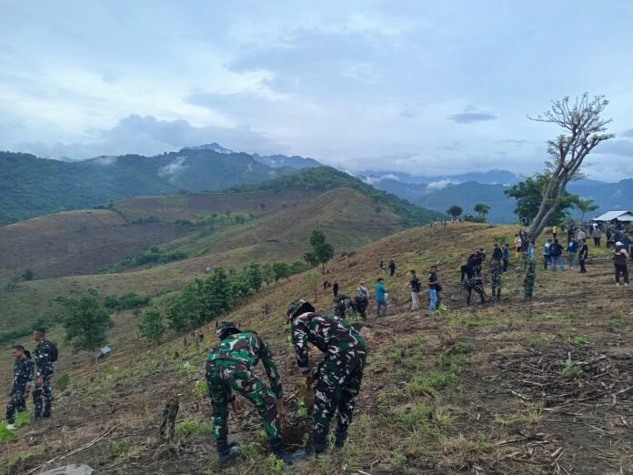 Menanam Asa, Menjaga Alam Cara Bupati Tangani Hutan Kritis di Sumbawa