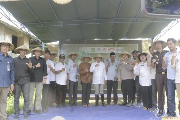 Area Tanam Kemiri di Sumbawa Belum Capai Target, Distan Motivasi Semangat Petani