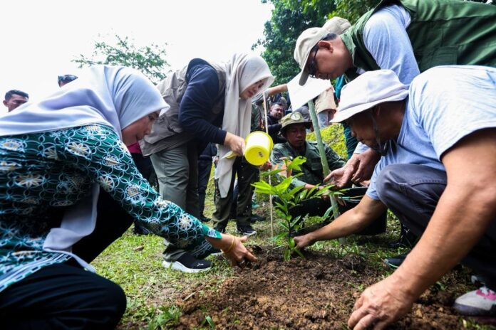 Pimpin Penanaman 5.000 Pohon di Aik Berik, Wagub NTB: Menjaga Hutan Tanggung Jawab Bersama