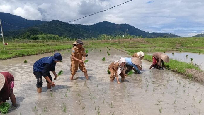 Belum Setahun Memimpin Lobar, Bupati LAZ-Wabup UNA Wujudkan Swasembada Hasil Panen Padi dan Tingkatkan NTP Petani