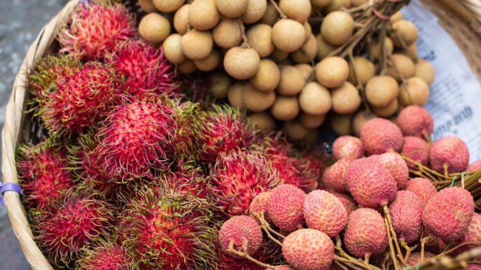 Lahan Subur, Desa Banda Mampu Kembangkan Komoditi Buah buahan