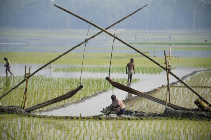Pemdes Tepas Sepakat dorong Pemberdayaan Kelompok Tani untuk Gerakkan Ekonomi Warga