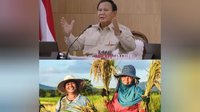 Swasembada Pangan Bukti Keberhasilan Strategi Ketahanan Nasional Pemerintahan Presiden Prabowo