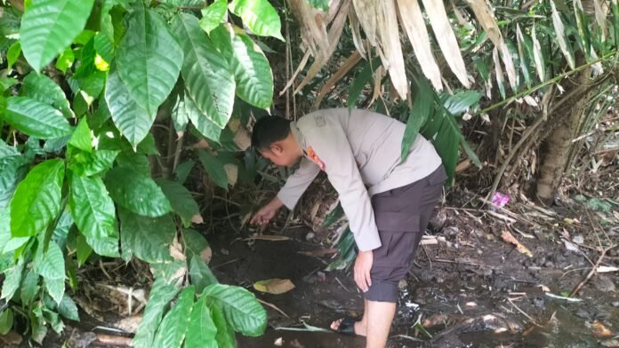 Bayi Laki-Laki Ditemukan Meninggal di Pinggir Kali Koak Selong
