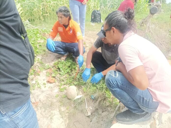 Polisi Selidiki Penemuan Tengkorak Manusia di Pantai Nangadoro