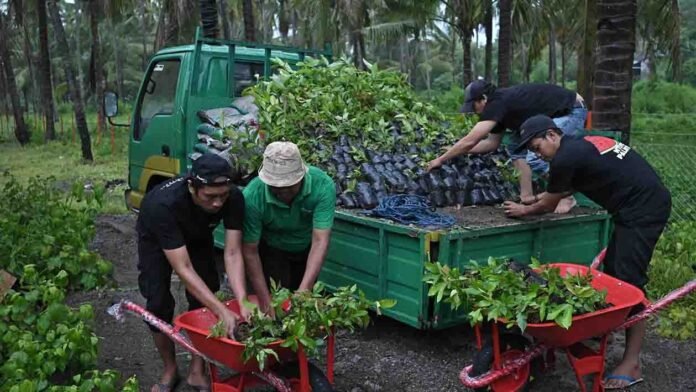 Kado Milad Ke-67 Kabupaten Sumbawa: Bank NTB Syariah Persembahkan “Nursery Farm” untuk Masyarakat Sumbawa