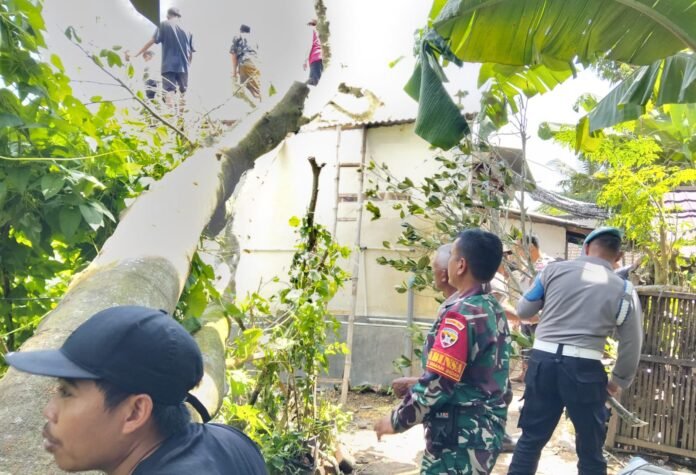 Antisipasi Dampak Cuaca Ekstrem, Personel TNI Diintruksikan Siaga Penuh