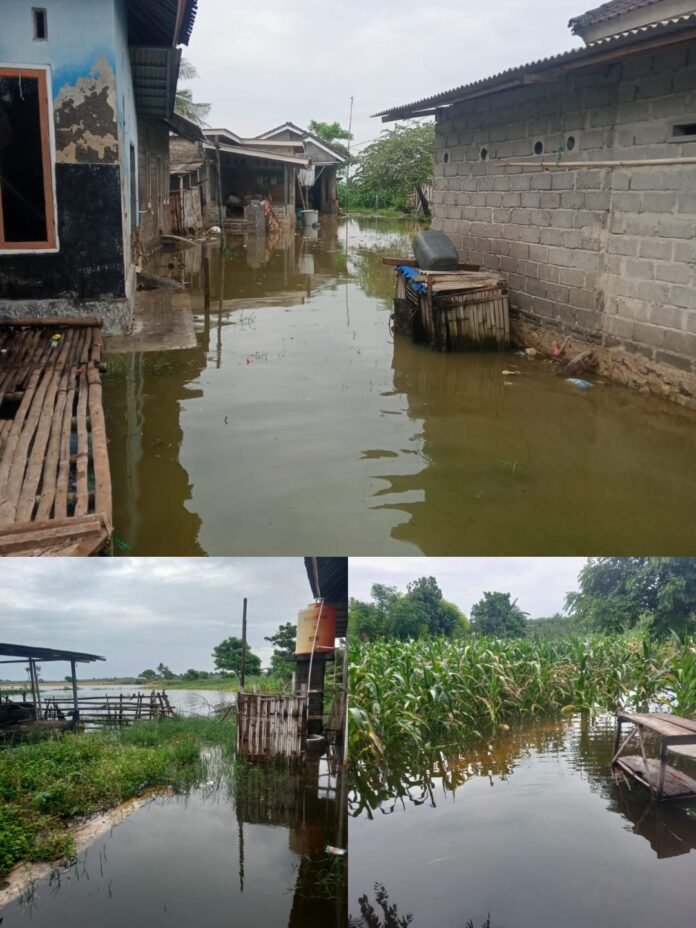 Embung Bedah Meluap, Rendam Puluhan Rumah dan Lahan Pertanian di Seriwe Jerowaru