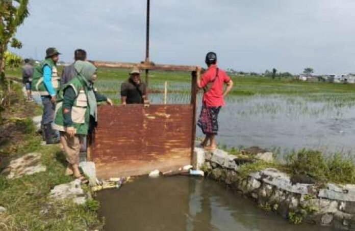 50 Hektare Sawah di Mataram Terdampak Banjir, Distan Pastikan Tak Ada Gagal Panen