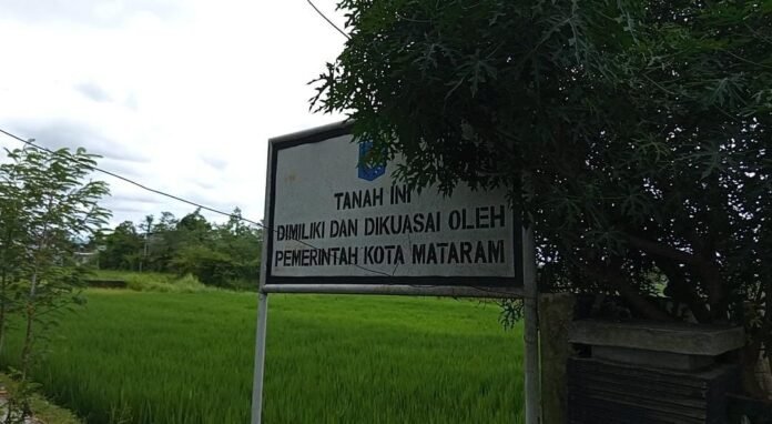 Alih Fungsi Lahan Pertanian di Mataram Terus Menyusut, Tersisa 1.178 Hektare