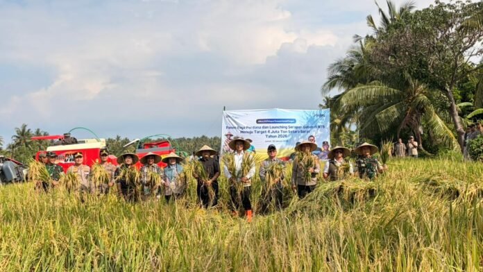 Bulog Optimalkan Serapan Gabah di NTB Menuju Target 4 Juta Ton Setara Beras Nasional