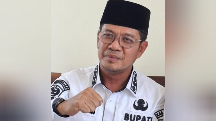 Tenaga Alih Daya dan BLUD Tak Mampu Akomodir Eks Honorer