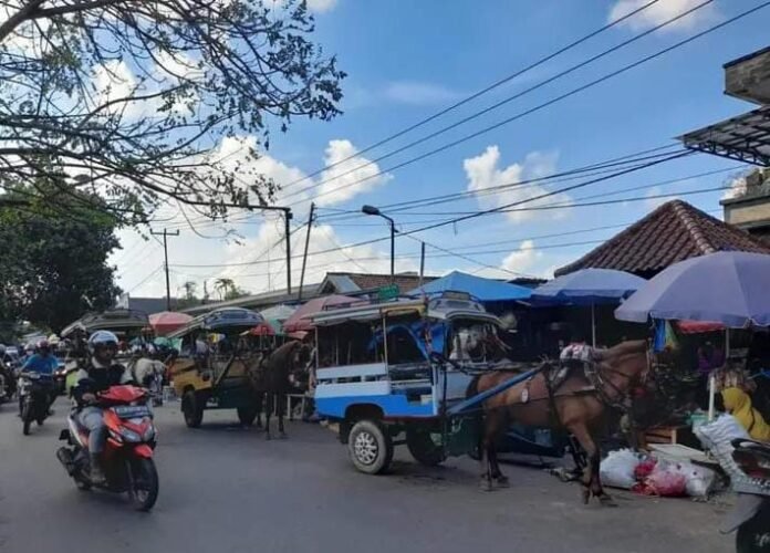 Kendala Lokasi Penampungan Hambat Pengolahan Limbah Kotoran Kuda Jadi Biogas