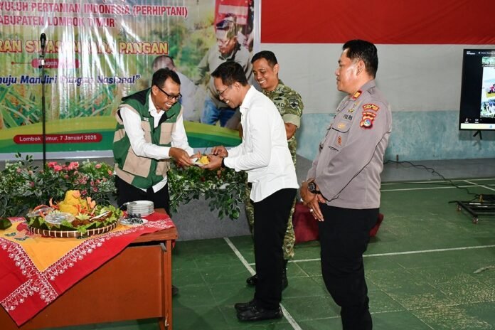 Produksi Beras 210.684 Ton, Lotim Turut Sumbang Pencapaian Swasembada Pangan Nasional