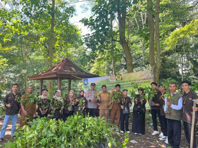 PPPK Paruh Waktu Dinas Pertanian NTB, KKN Unram, dan Pemdes Pengadangan Barat Gelar Gerakan Menanam Pohon