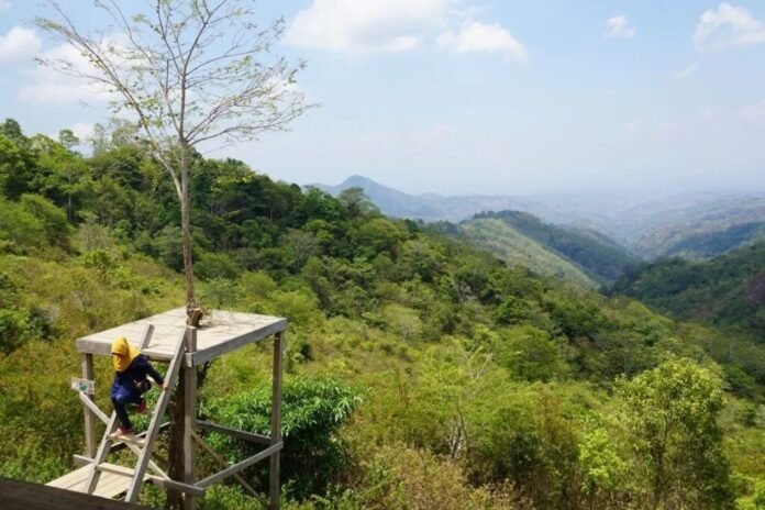 Dianggarkan Rp52 Miliar, Hutan Sumbawa Tak Kunjung Pulih