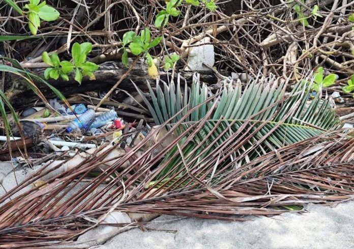 Sosok Mayat Diduga Perempuan Ditemukan di Pantai Pandanan KLU