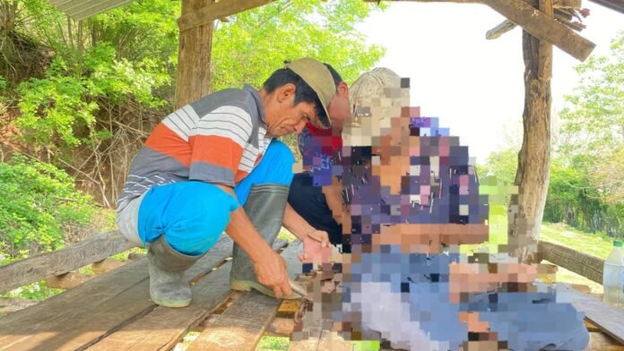 Kasus Pasung, Sumbawa Tertinggi di NTB