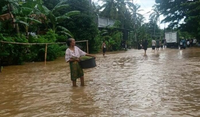 Ratusan Hektare Lahan Kritis Diduga Pemicu Bencana di Lobar Butuh Reboisasi