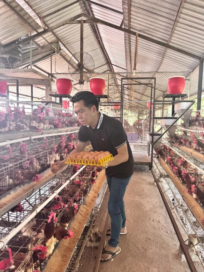 Program MBG Bikin Pasar Telur NTB Lebih Stabil, Peternak Kian Optimistis Berinvestasi