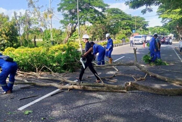 Butuh Peran Aktif Desa, DLH Lobar akan Beli Skylift Maksimalkan Pelayanan Perantingan Pohon