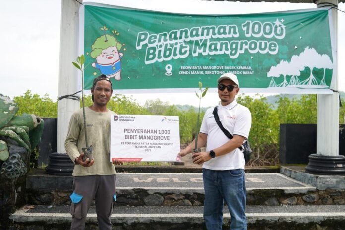 Pertamina Patra Niaga Integrated Terminal Ampenan Tanam 1000 Mangrove Dalam Peringati Bulan K3