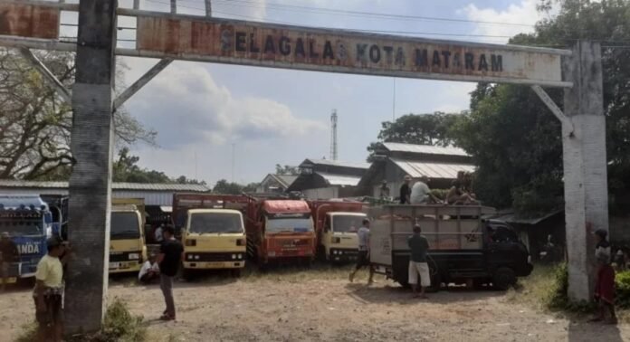 PAD Peternakan Mataram Melonjak, Target 2026 Dinaikkan