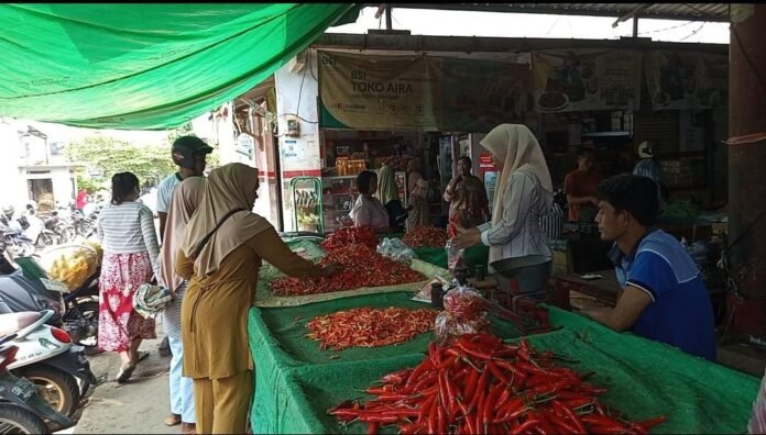 Harga Cabai Rawit di Mataram Tembus Rp90 Ribu per Kilogram