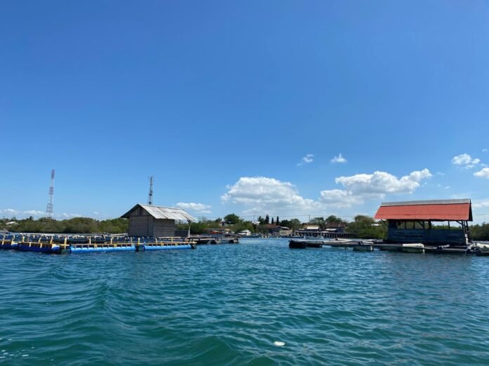 DKP Lotim Harapkan Ada Sentuhan Teknologi Pakan untuk Masa Depan Kampung Lobster