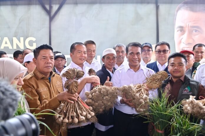Panen Melimpah, NTB Ditetapkan sebagai Sentra Jagung dan Bawang Putih